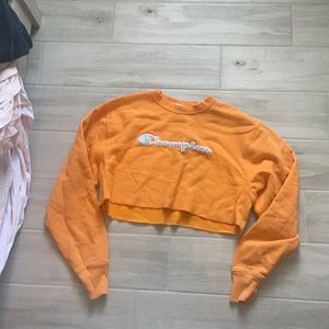 cropped champion sweater